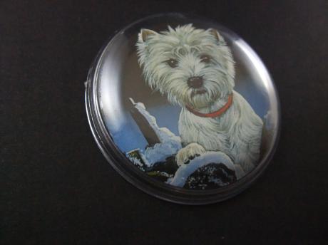 Highland White Terrier ( Westie) rode halsband (hondenriem)